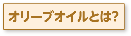 オリーブオイルとは？